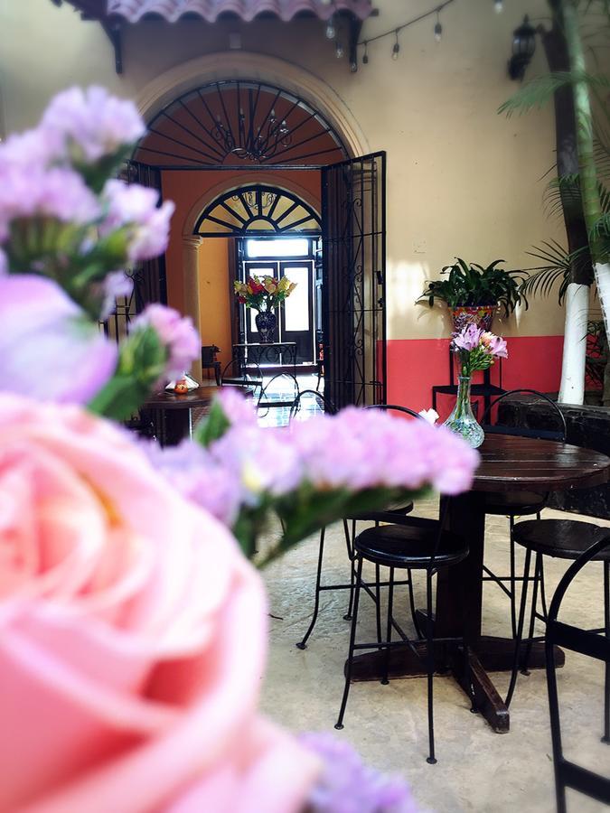 Casa Catrina&Diego Hotel Merida Exterior photo
